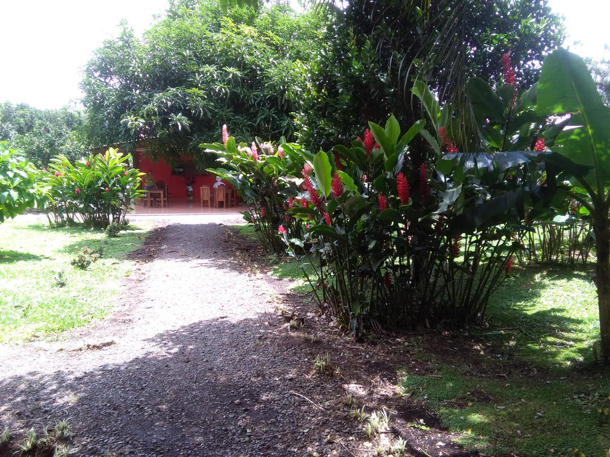 Paraiso Volcano Lodge Guayabo  Экстерьер фото