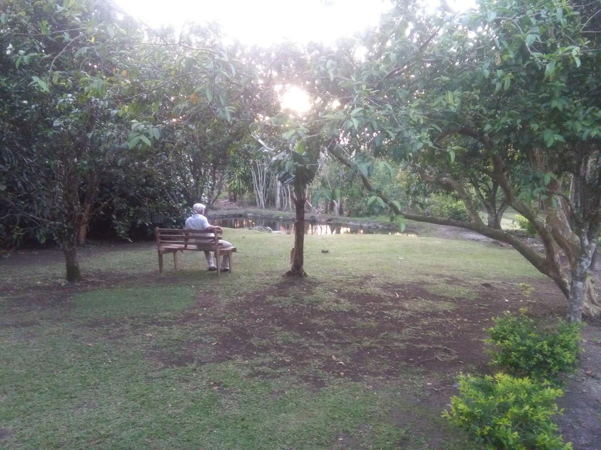 Paraiso Volcano Lodge Guayabo  Экстерьер фото