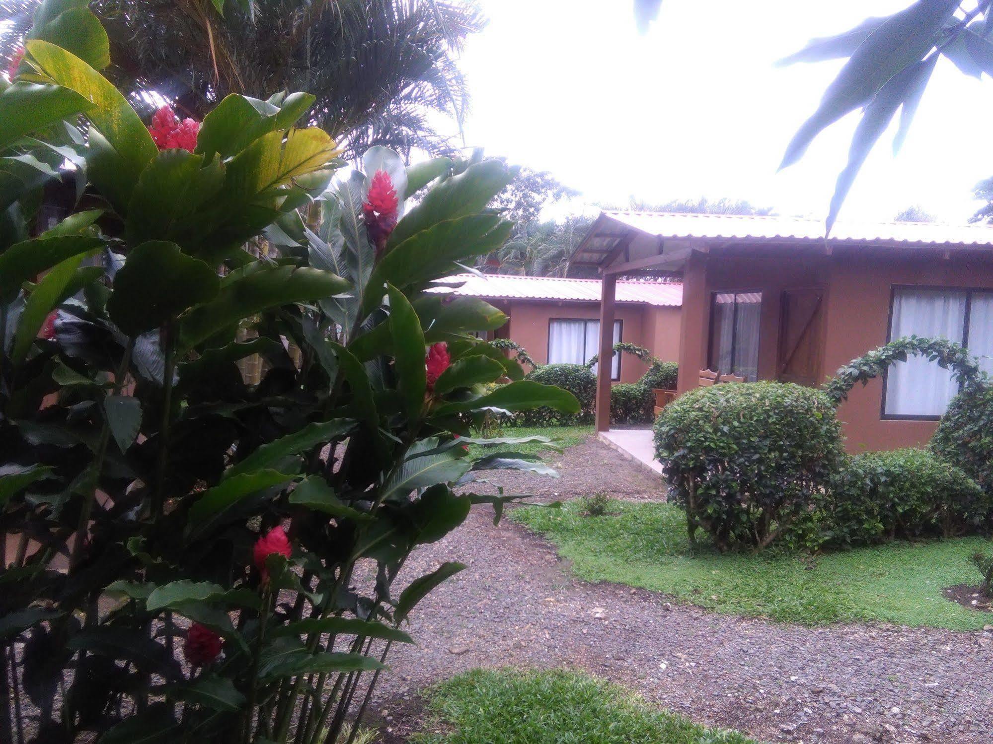 Paraiso Volcano Lodge Guayabo  Экстерьер фото